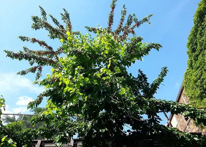 Zum Rost'gen Potte I *